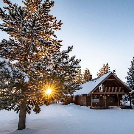 Yellowstone Cozy Caldera Cabin Island Park Exterior foto