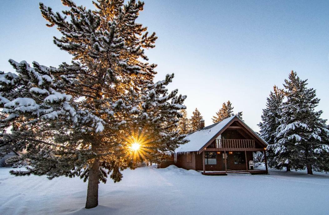 Yellowstone Cozy Caldera Cabin Island Park Exterior foto